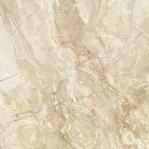 import placeholder for 448