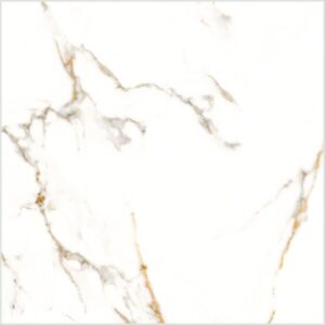 import placeholder for 571