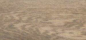 import placeholder for 564