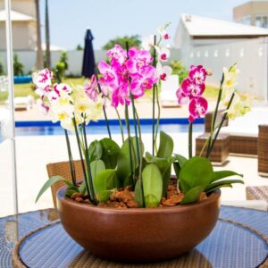 import placeholder for 968