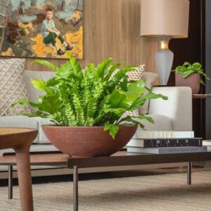 import placeholder for 964