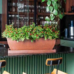 import placeholder for 956